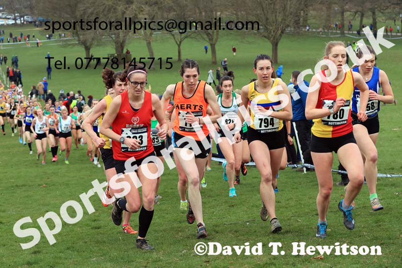Senior Women, 2024 CAU Inter Counties Cross Country Champs., Wollaton Park, Nottingham. Photo: David T. Hewitson/Sports for All Pics